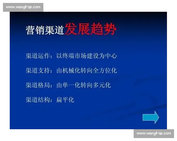 以渠道建设为核心推动企业市场拓展与销售网络优化策略研究 以渠道建设为核心推动企业市场拓展与销售网络优化策略研究