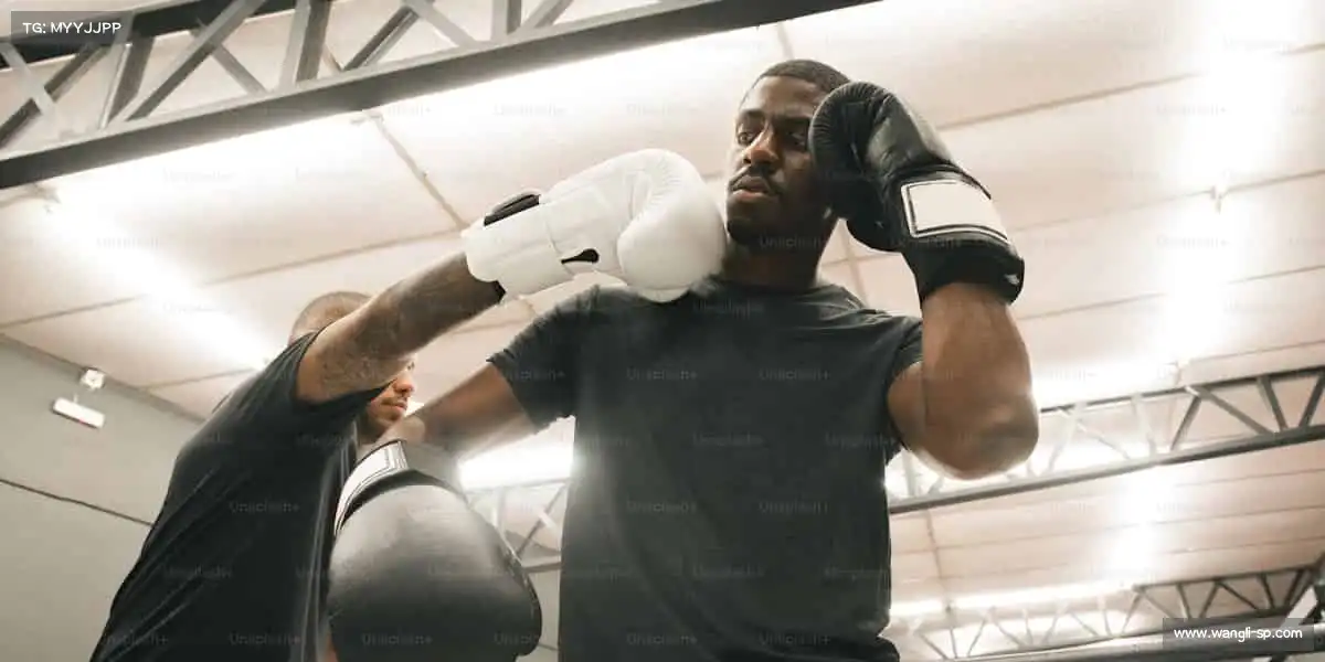 行业领先的理由